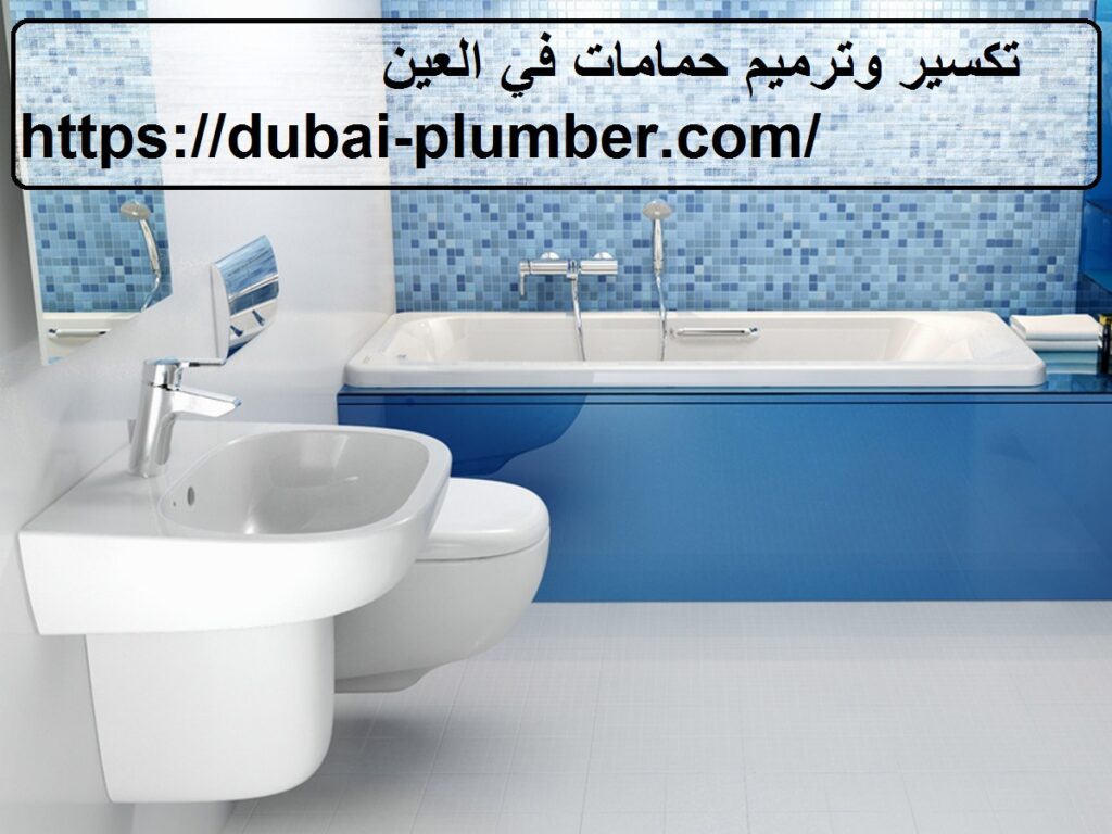 تكسير وترميم حمامات في العين
